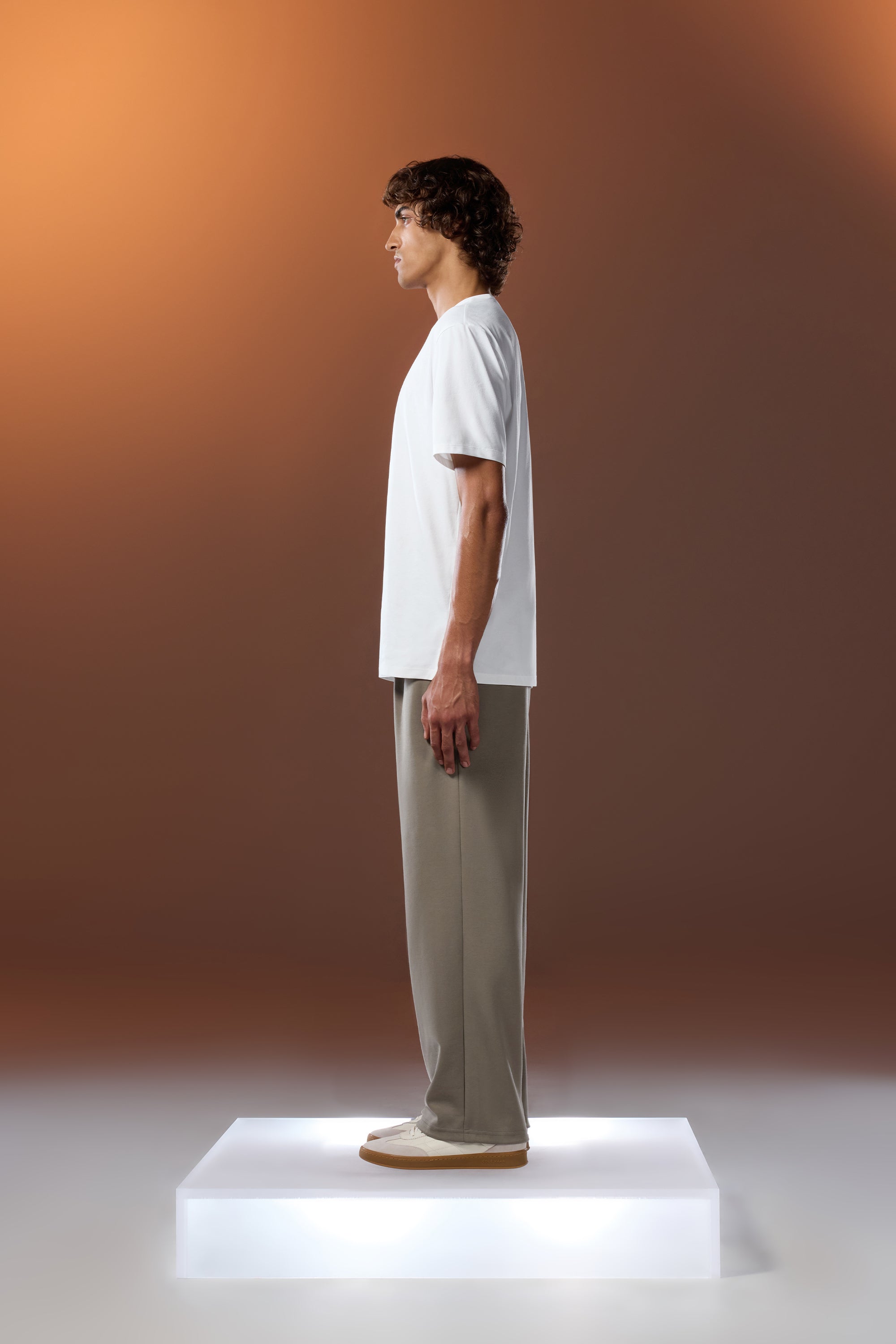 #color_fog brown